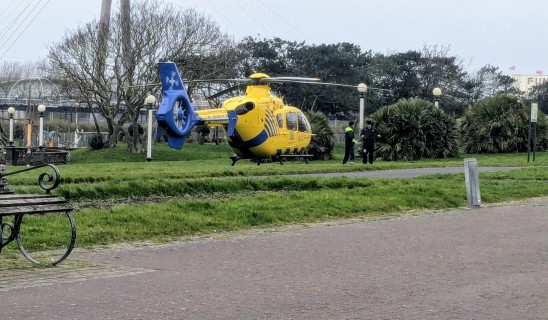 Yellow and blue rescue helicopter landed on grassy area near a promenade.