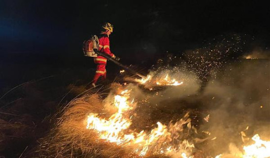 fire