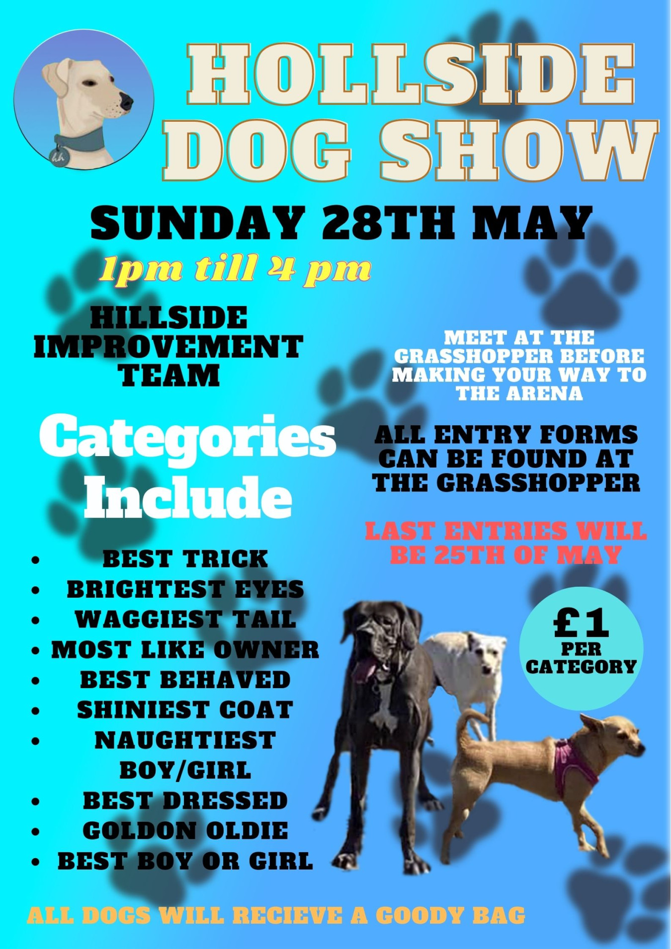 join-the-fun-at-the-hillside-dog-show-presented-by-hillside-improvement