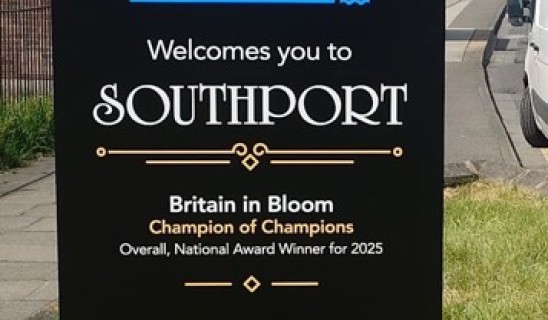 bloom