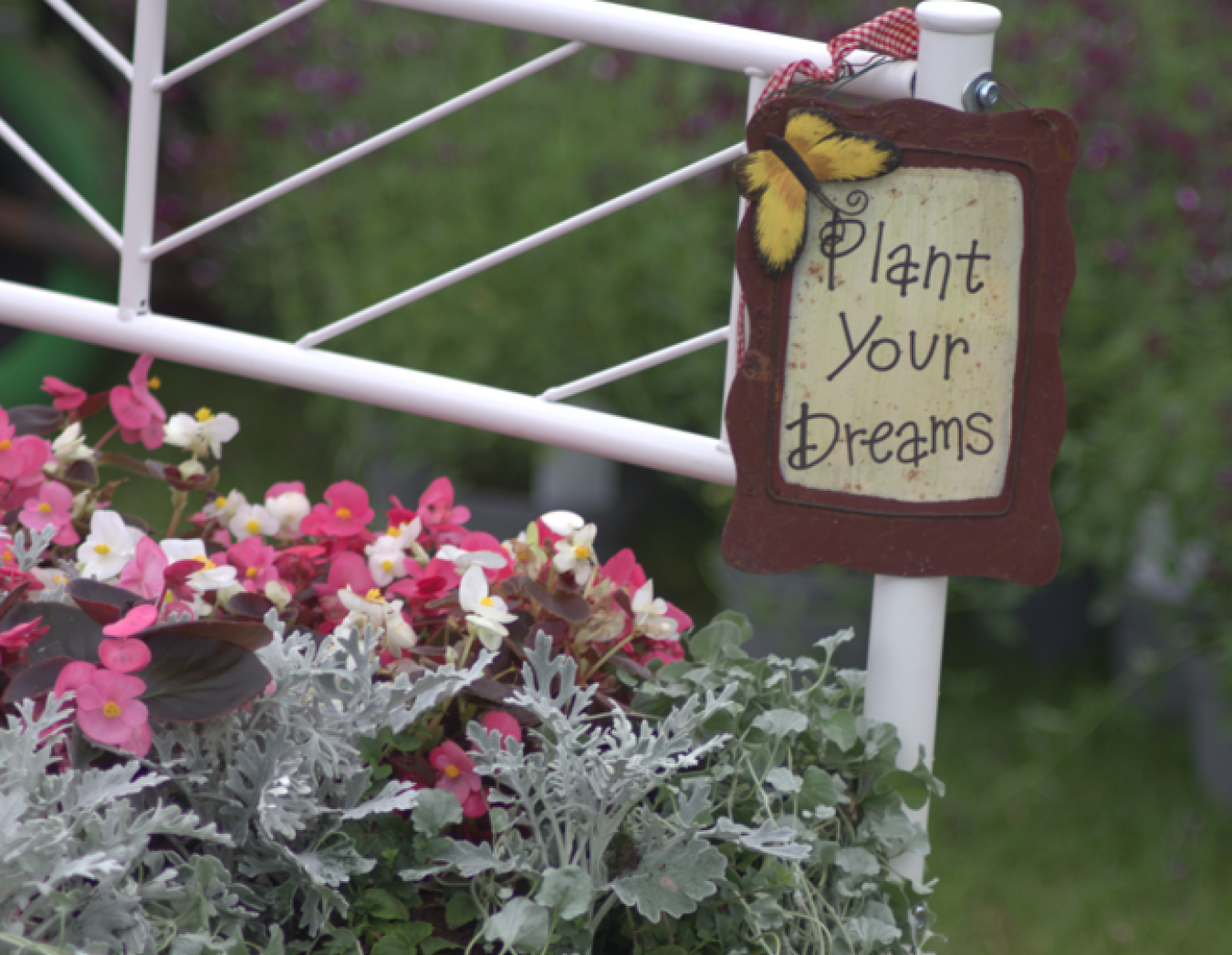 Garden sign reading 'Plant Your Dreams' beside colorful flowers and a white railing.