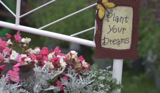 Garden sign reading 'Plant Your Dreams' beside colorful flowers and a white railing.