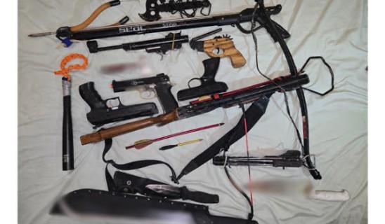 Collection of disassembled archery and hunting gear laid out on a light sheet, with bows, grips, strings and accessories.