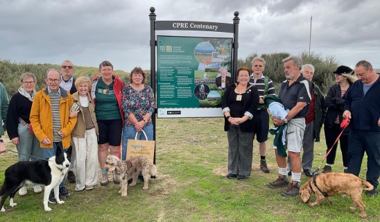 Group of people with dogs gathered beside a green information board on a grassy area under cloudy sky.