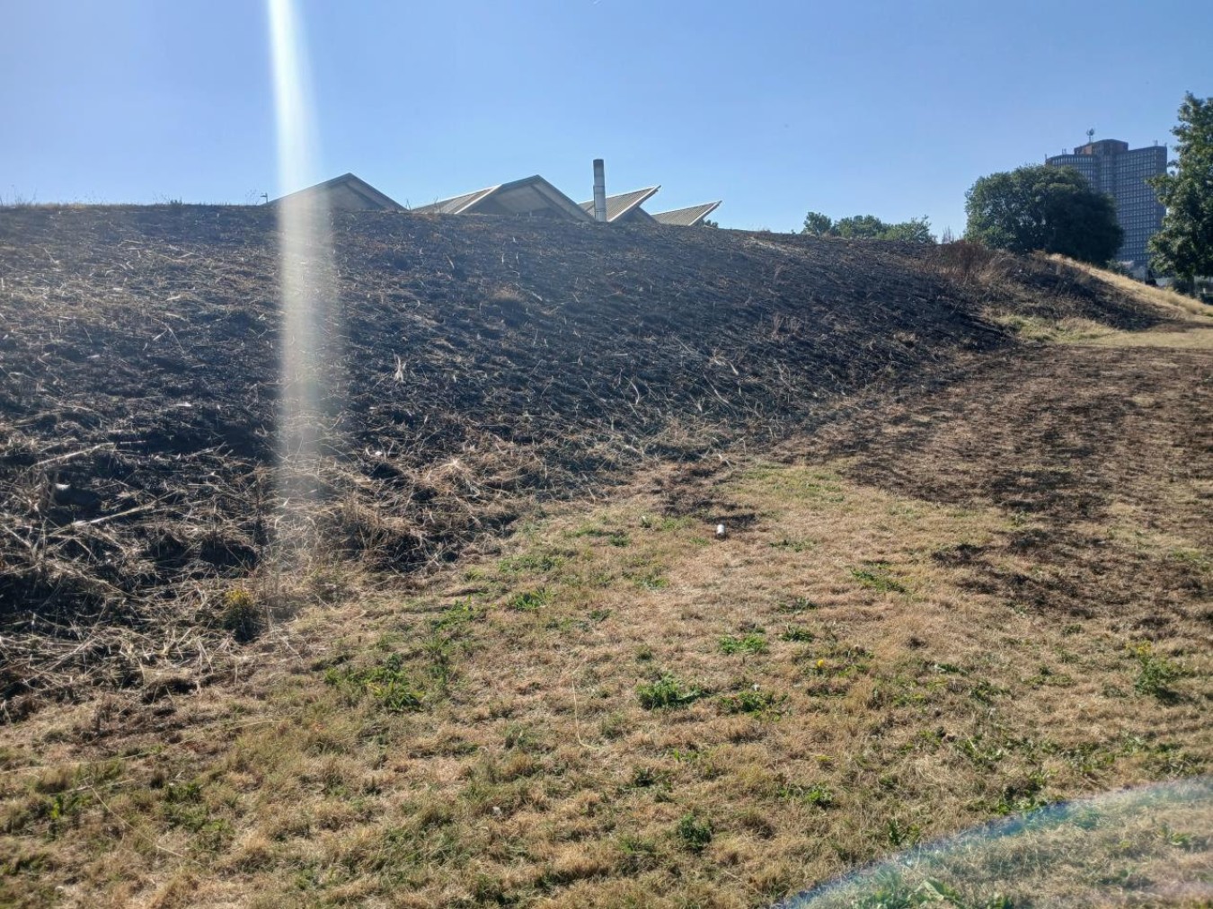 grassfire