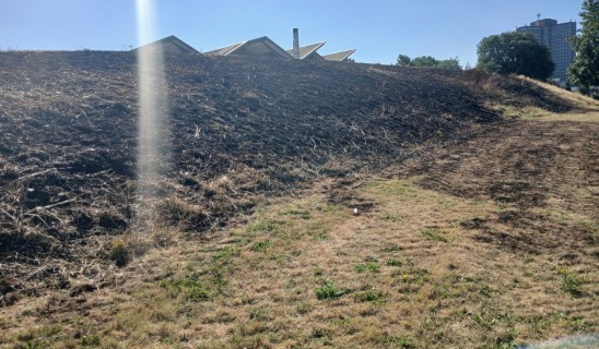 grassfire