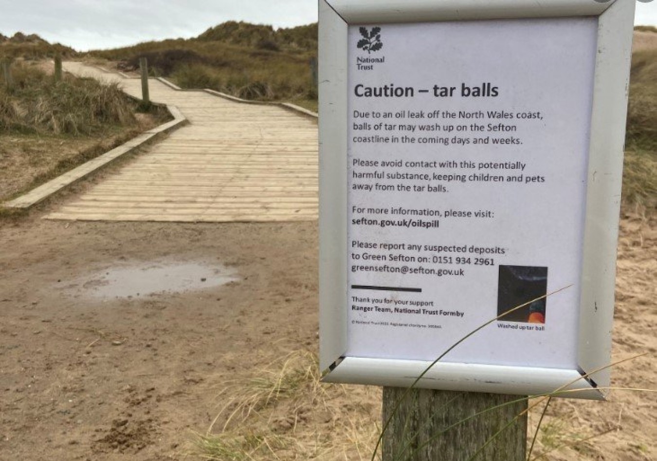 National Trust at Formby near Southport issue warning to public of tar ...