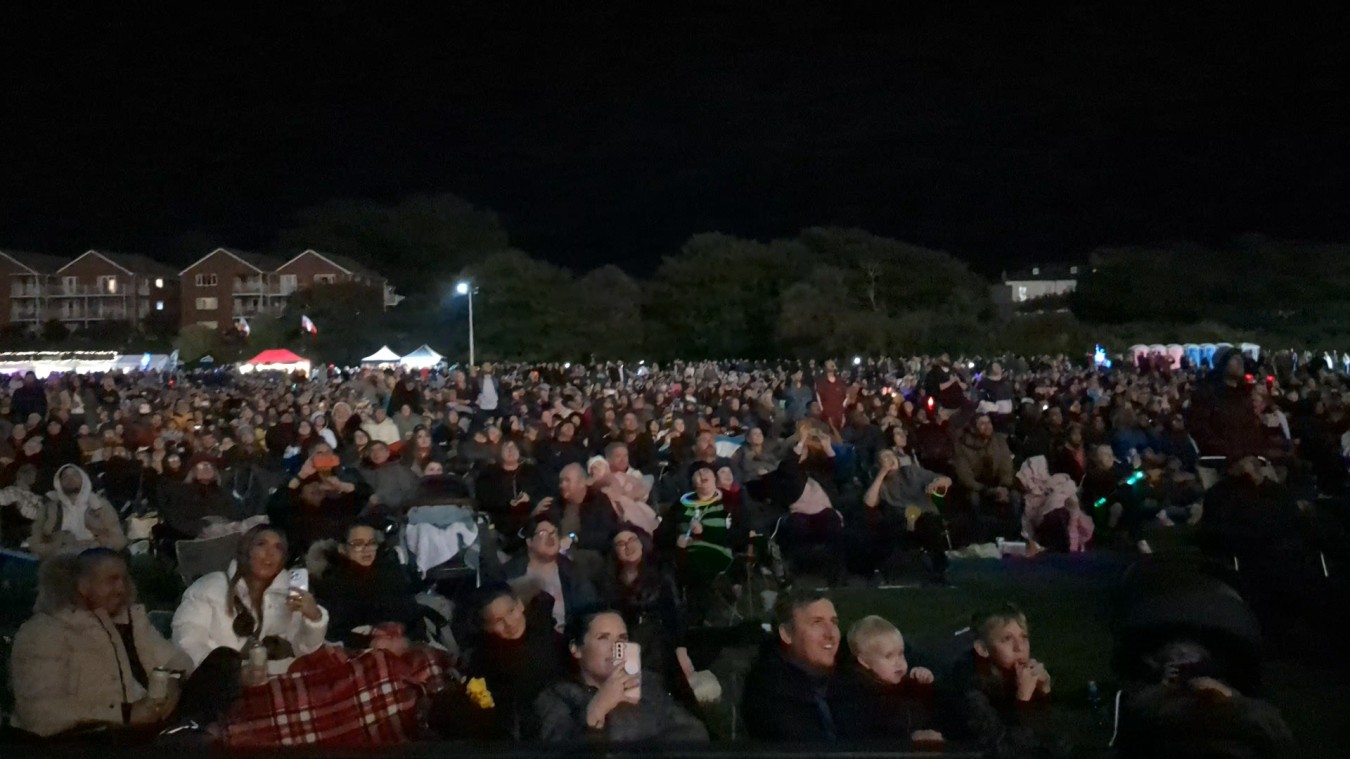 a crowd watching fireworks