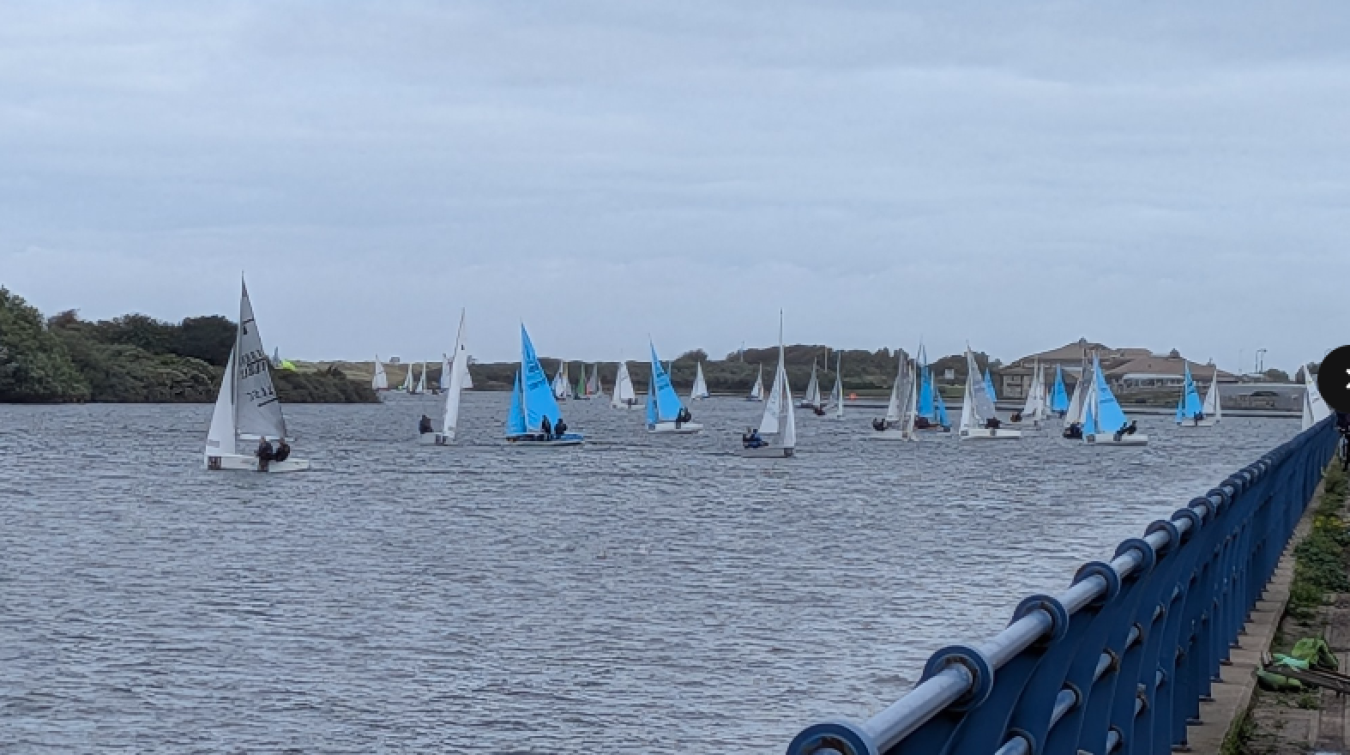 Sailboats with blue and white sails on a body of water alongside a blue railing