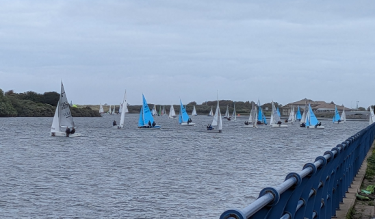 Sailboats with blue and white sails on a body of water alongside a blue railing