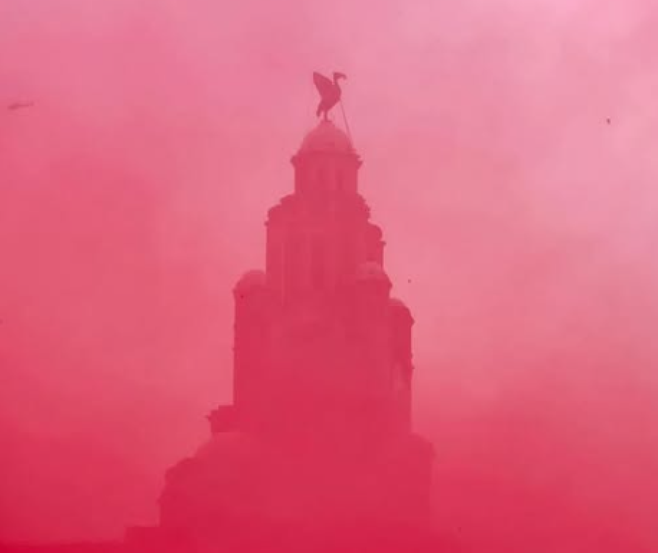 livertit