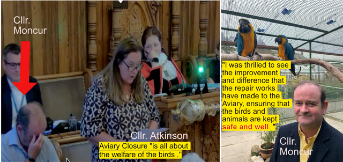 A council chamber scene with people seated at desks and a woman speaking, plus an outdoor aviary with parrot cages and a man in a suit.