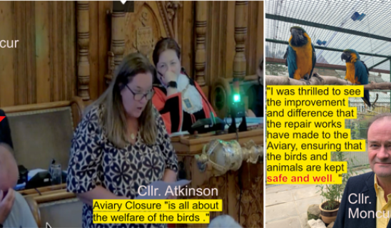 A council chamber scene with people seated at desks and a woman speaking, plus an outdoor aviary with parrot cages and a man in a suit.