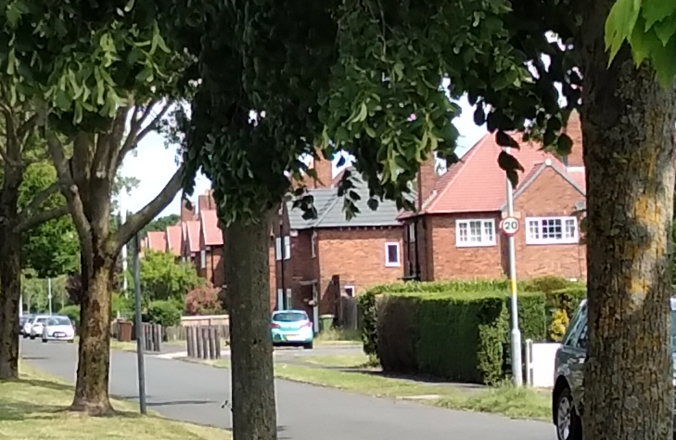 trees