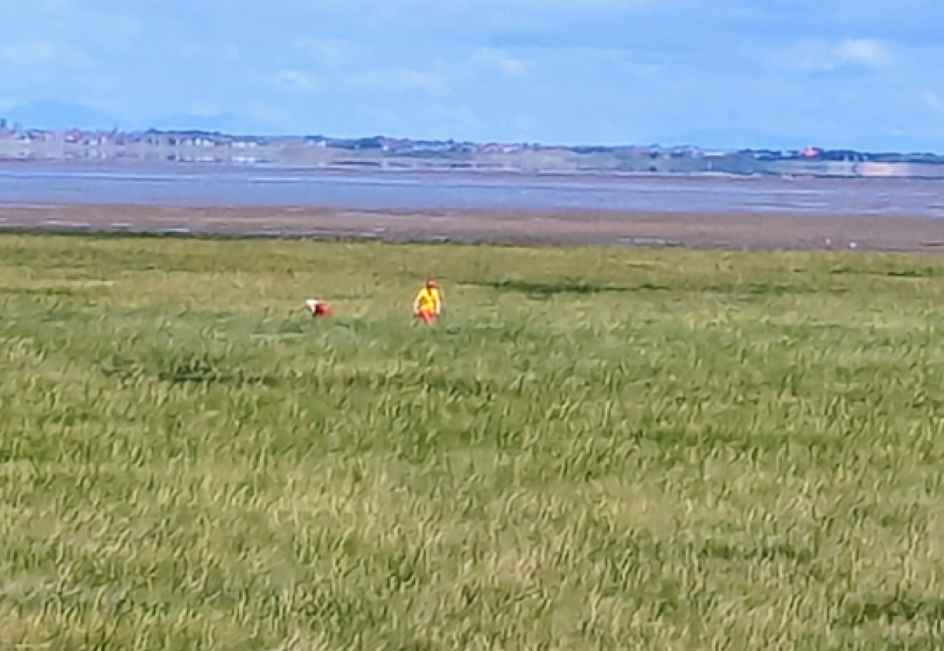 rnli