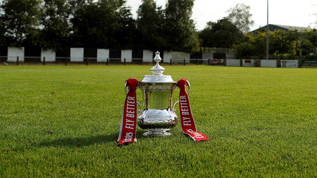fa cupgrass