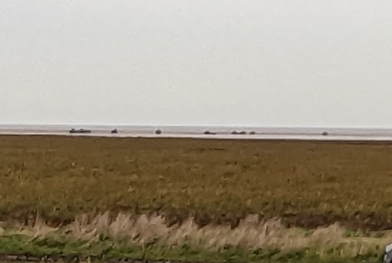 cocklers beach ribble