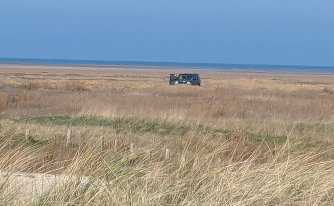 strand