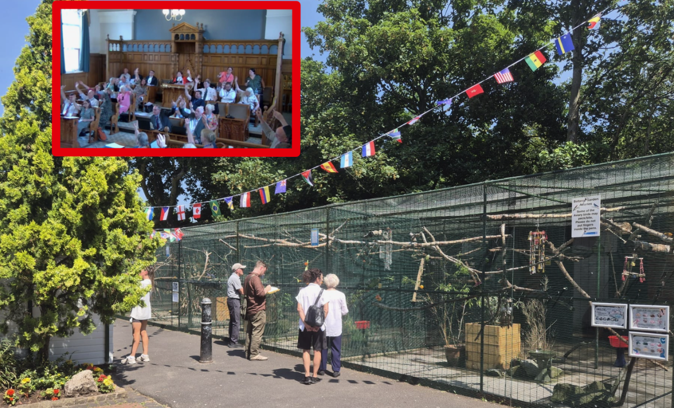 A lively indoor meeting of people raising hands sits in a wooden-panelled chamber, inset over a sunny outdoor scene with a fenced aviary and visitors.