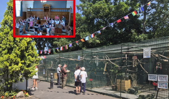 A lively indoor meeting of people raising hands sits in a wooden-panelled chamber, inset over a sunny outdoor scene with a fenced aviary and visitors.